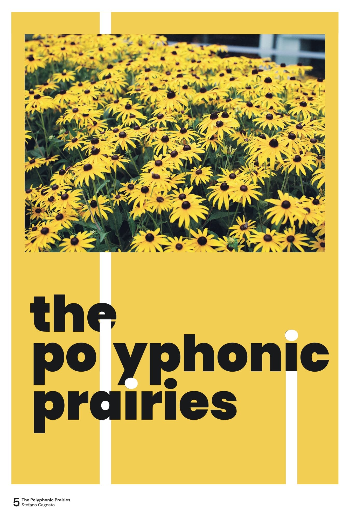 Posters 5